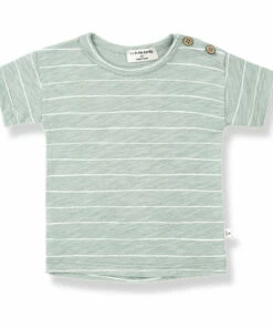 Top 10 🧨 Bernie T-shirt Green water 1+ in the family Fashion Baby, Children 🎉