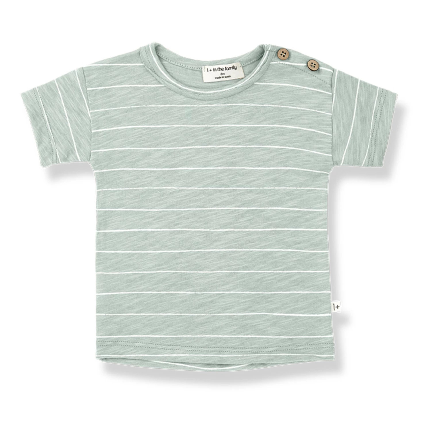 Top 10 ๐งจ Bernie T-shirt Green water 1+ in the family Fashion Baby, Children ๐ 1 Top 10 ๐งจ Bernie T-shirt Green water 1+ in the family Fashion Baby, Children ๐