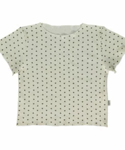 Wholesale 🔥 Birch Organic Cotton T-shirt Brown Poudre Organic Fashion Teen, Children 👍