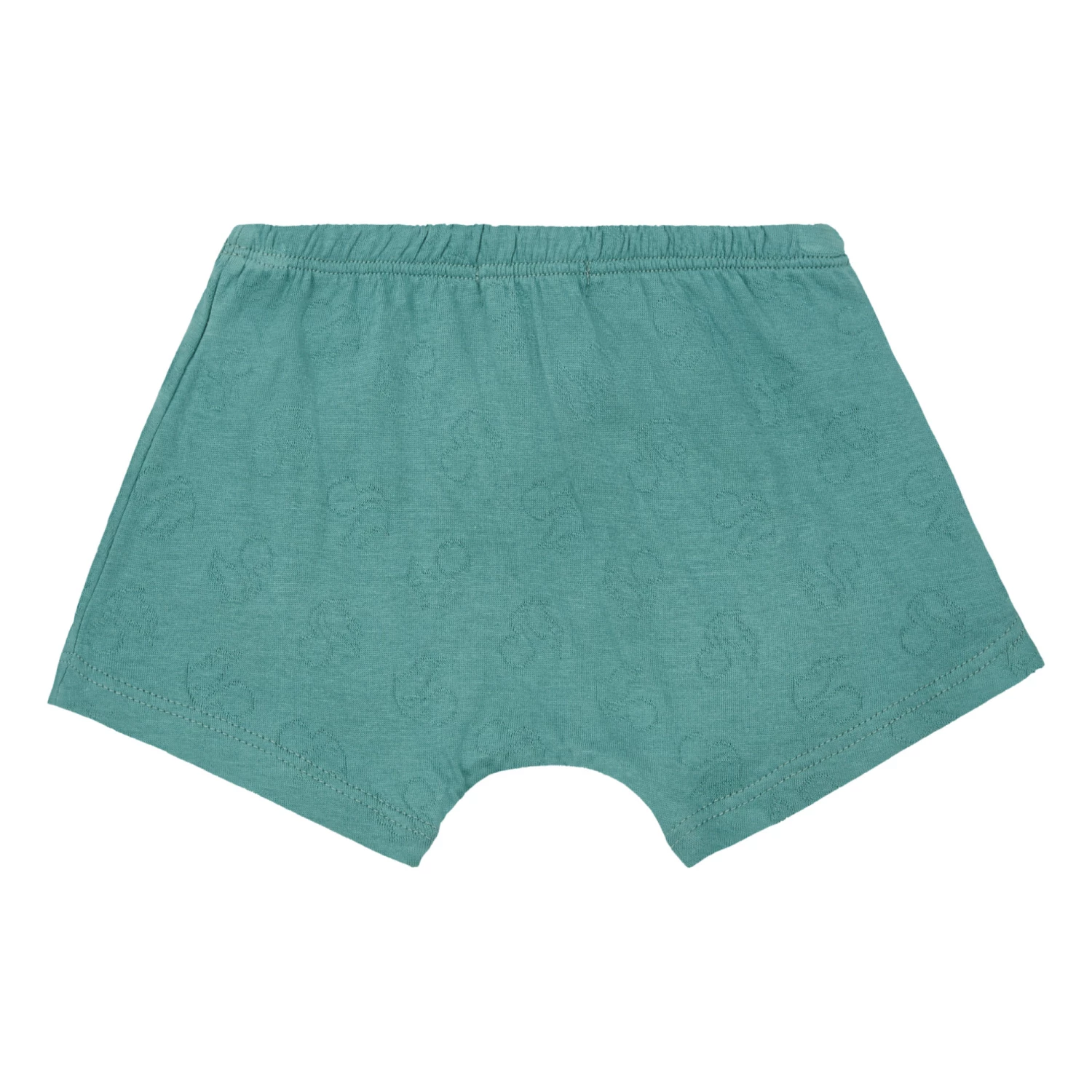 Outlet ๐คฉ Boxeres Teal Risu Risu Fashion Teen, Children ๐ 4 Outlet ๐คฉ Boxeres Teal Risu Risu Fashion Teen, Children ๐ - Image 4