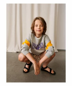 Coupon ⭐ Firsty Vintage College Sweatshirt Grey Bellerose Fashion Teen, Children 🌟 -Outlet Kids' Fashion Store firsty vintage college sweatshirt grey bellerose fashion teen children 5