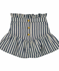 Cheap 🧨 Flute Skirt Navy blue Louis Louise Fashion Children ⌛