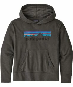 Promo 🛒 Graphic hoodie Grey Patagonia Fashion Teen, Children ❤️