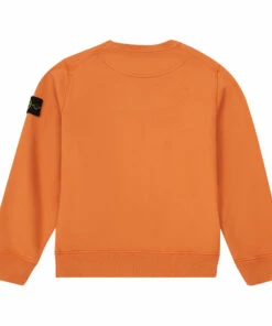 Buy 🛒 Logo Sweatshirt Orange Stone Island Fashion Teen, Children 🔥 -Outlet Kids' Fashion Store logo sweatshirt orange stone island fashion teen children 2