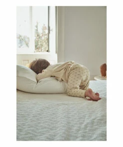 Wholesale 👍 Olive Ribbed Jersey T-shirt Cream Poudre Organic Fashion Baby, Children 👍 -Outlet Kids' Fashion Store olive ribbed jersey t shirt cream poudre organic fashion baby children 4