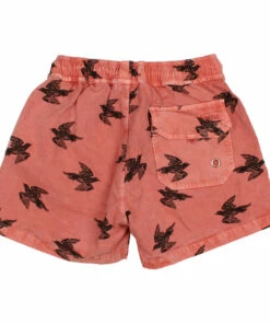 Flash Sale 👍 Organic Cotton Bird Swim Trunks Brick red Búho Fashion Children 🧨 -Outlet Kids' Fashion Store organic cotton bird swim trunks brick red b uacute ho fashion children 2
