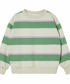 Budget 🔔 Organic Cotton Jumper Green Main Story Fashion Teen, Children 🤩