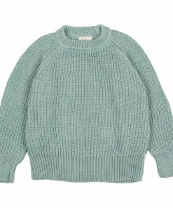 Top 10 ⭐ Organic Cotton Jumper Green water Búho Fashion Children 🧨