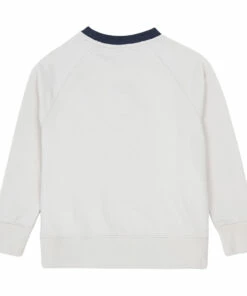 Top 10 ✨ Organic Cotton Sweatshirt Beige Patagonia Fashion Teen, Children ✔️ -Outlet Kids' Fashion Store organic cotton sweatshirt beige patagonia fashion teen children 2