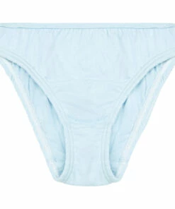 Wholesale 💯 Parfaite Briefs Light blue Risu Risu Fashion Teen, Children 🎉
