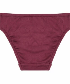 Flash Sale 😍 Parfaite Organic Cotton Briefs Aubergine Risu Risu Fashion Teen, Children 💯 -Outlet Kids' Fashion Store parfaite organic cotton briefs aubergine risu risu fashion teen children 2
