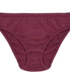Flash Sale 😍 Parfaite Organic Cotton Briefs Aubergine Risu Risu Fashion Teen, Children 💯