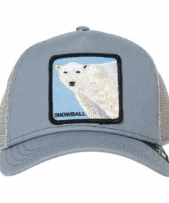 Best deal ✨ Polar Bear Cap Light grey Goorin Bros Fashion Teen, Children ⌛