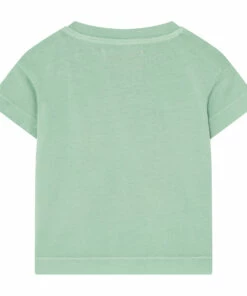 Wholesale 🤩 Rooster Lion T-shirt Green water The Animals Observatory Fashion Baby, Children 😍 5 Wholesale 🤩 Rooster Lion T-shirt Green water The Animals Observatory Fashion Baby, Children 😍 -Outlet Kids' Fashion Store rooster lion t shirt green water the animals observatory fashion baby children 2